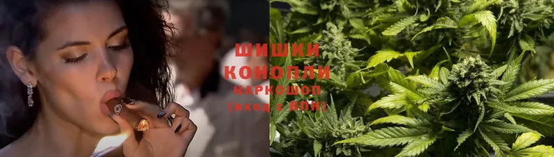 Бошки марихуана SATIVA & INDICA  darknet наркотические препараты  Александровск 